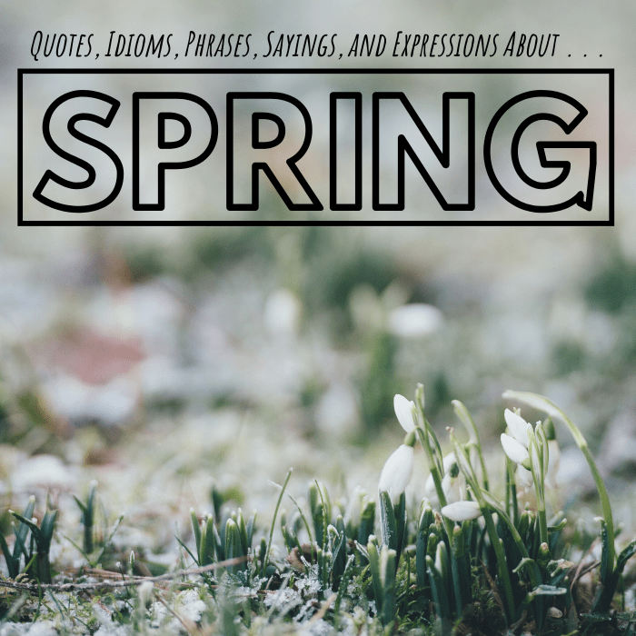 A surprising amount of expressions, idioms, and turns of phrase have been created about the spring season over the years.