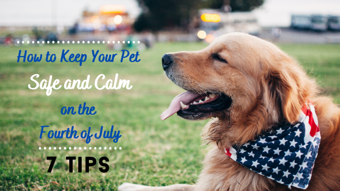 Help your pet feel secure and relaxed on the Fourth of July.