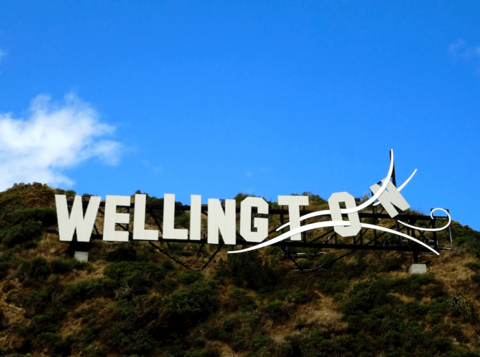 The Windy Wellington Sign—a play on the famous Hollywood Sign in LA—can be seen from the drive along Oriental bay.