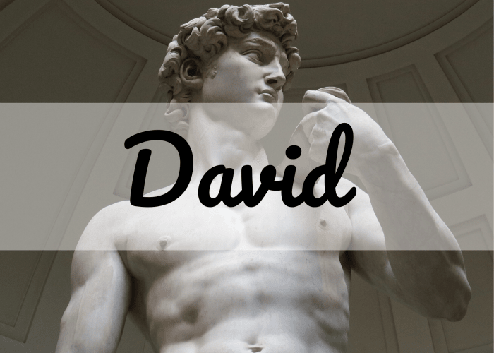 David is a classic name that has been ranked as the most popular boys' name in the United States in the past.