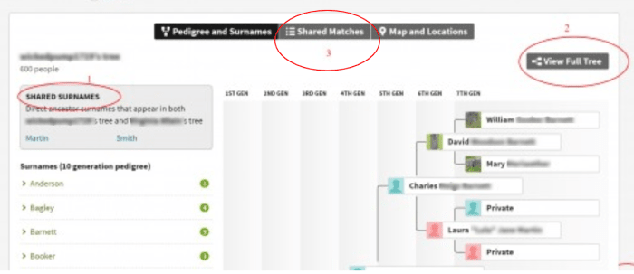 1) If you have SHARED SURNAMES, click on each of those for clues (dates, locations). 2) Then take a look at the full tree to see any way that it aligns with your ancestors. 3) Then click on SHARED MATCHES to see others that match the two of you.