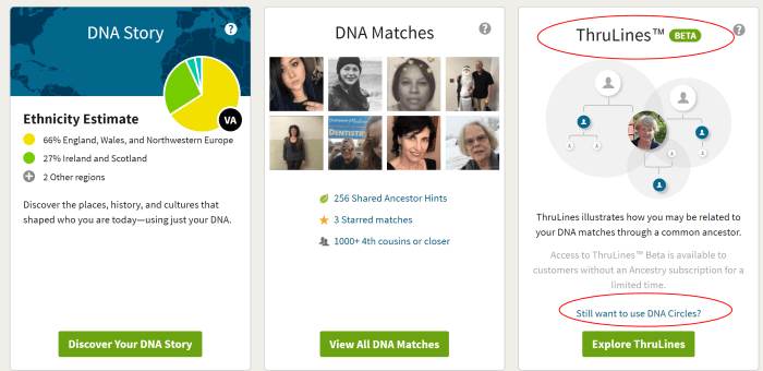 In the center, click on DNA Matches or go to the right-hand panel for seeing the ThruLines with your direct ancestors. You'll want to work both areas for the best results.
