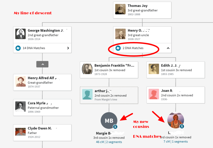 Click on your DNA match (the circle with their face or initials) to see more details.