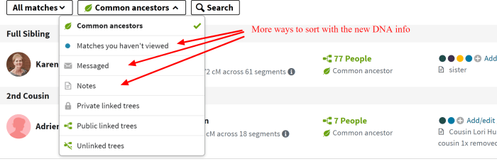 Sort by Common Ancestors, Matches You Haven't Viewed, Messaged, Notes, Private Linked Trees, Public Linked Trees, Unlinked Trees. Sorting by the color codes is in the first tab, All Matches.