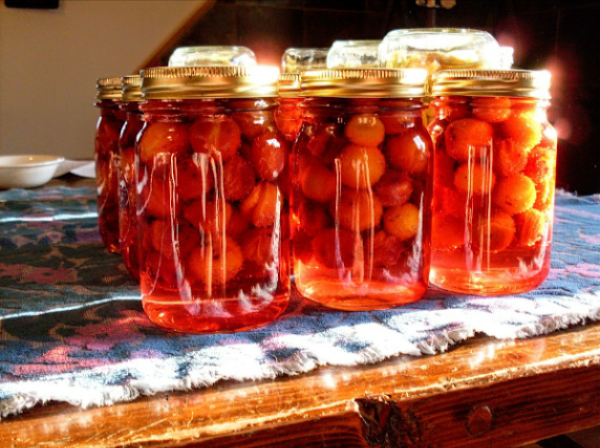 Set jars on a towel or board away from drafts to cool overnight. Lids may "ping" as they seal. When completely cool, check lids, and refrigerate or reprocess any unsealed jars. Store in a cool, dark place.