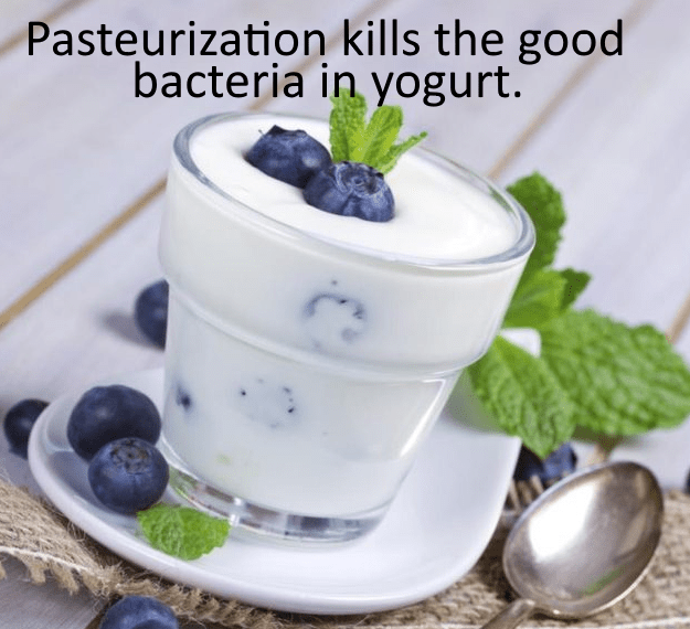 However, high heat exposure -- either during the pasteurization process or during cooking, when yogurt is added to hot foods -- will destroy the bacteria.