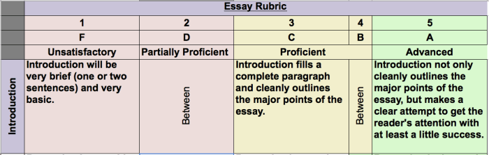 The basic five-step, performance-based rubric (only one row).