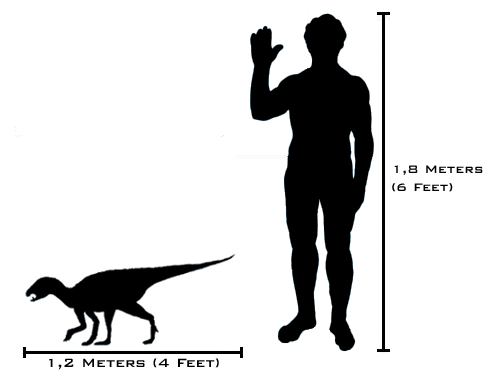 If the asteroid had missed, then it's likely that dogs would have never evolved. Instead the charismatic Heterodontosaurus may have become our best friend.