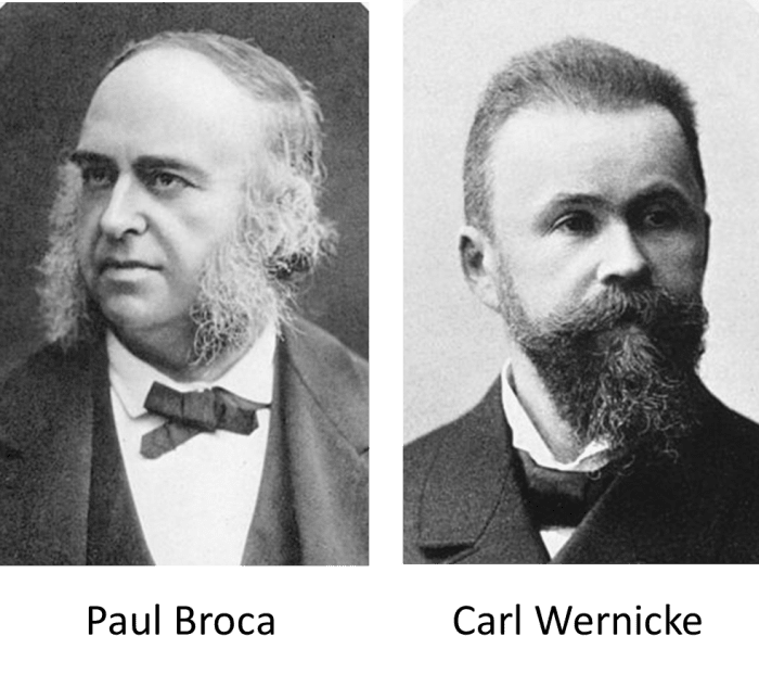 Portraits of Paul Broca and Carl Wernicke