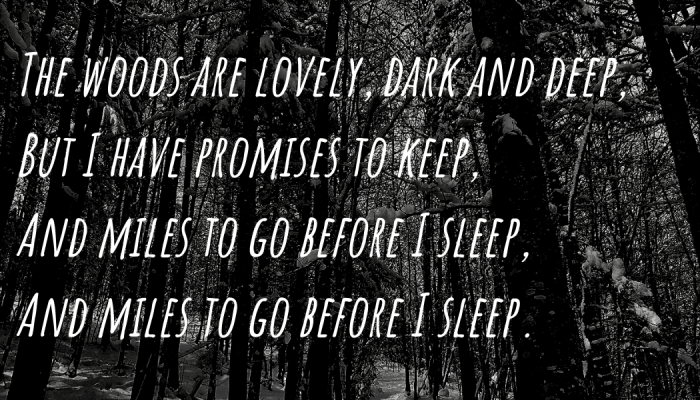 The haunting fourth stanza includes a repeated line and leaves readers with a sense of morbid wonder.