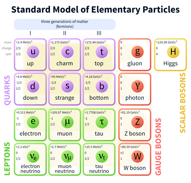 A table showing all of the elementary particles in the standard model. Remember that all the leptons and quarks have a corresponding antiparticle.