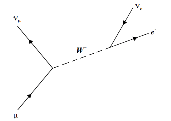 The decay of a muon, also through the weak interaction. Notice the conservation of total lepton number as well as the individual electron and muon lepton numbers.