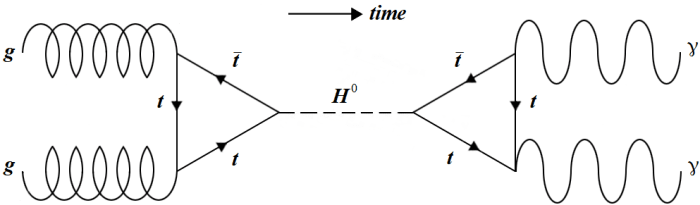 The production of a Higgs boson via gluon fusion followed by a subsequent decay into two photons. These were some of the processes observed by search at the LHC. The time axis has switched to an horizontal orientation for convenience.