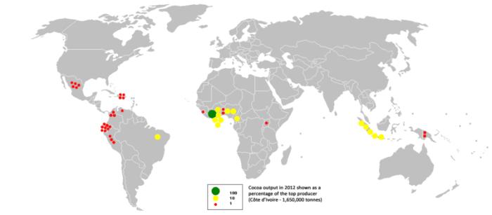 A map showing the major cacao growing areas of the world. Cacao trees flourish in warm, equatorial climates.