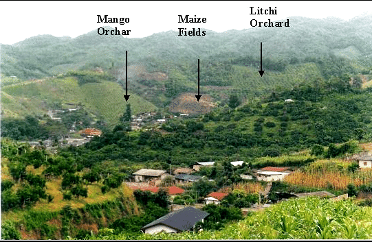 What I believe is a picture of Lin Village, but I might be wrong. Regardless, a Chinese (or Taiwanese) village.