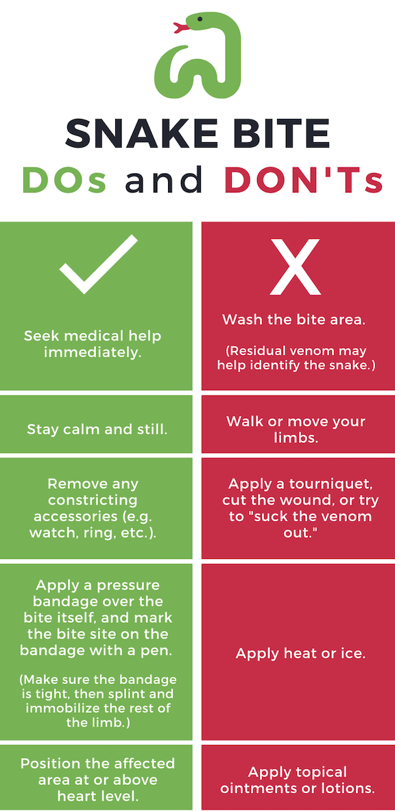 If you're bitten by a snake, it's essential that you follow a few crucial dos and don'ts. (Guidelines from healthdirect.gov.)'re bitten by a snake, it's essential that you follow a few crucial dos and don'ts. (Guidelines from healthdirect.gov.)