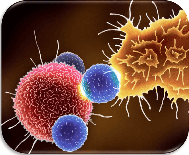 Cancer immunotherapy is a rapidly advancing field. Activated antitumor T cells target new antigens that are generated by cancer cell mutations, leading to targeted killing of cancer cells.