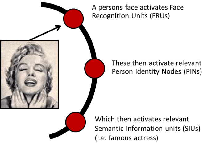 Generated with information from Burton and Bruce (1990)