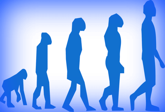 This linear representation of the evolution of homo-sapiens is not scientifically accurate--. Neanderthals are not our grandfathers; they are our cousins.