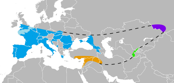 I Neanderthal abitavano l'Europa (blu), i monti Altai (viola), l'Uzbekistan (verde) e l'Asia (arancione) nello stesso periodo in cui l'uomo migrava dall'Africa.