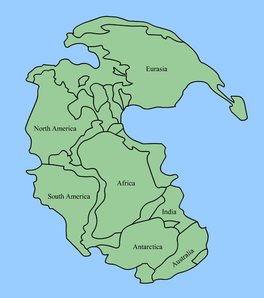 The earth's continents as they were positioned in the original land mass known as "Pangea"