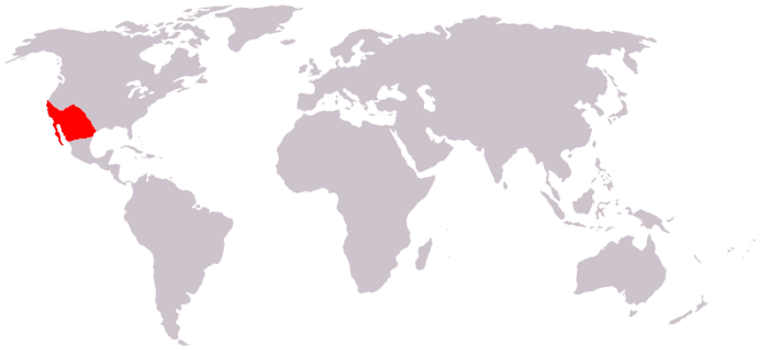 Map of where Roadrunners live