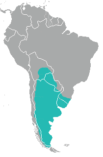 Range map for Geoffroy's Cat (Leopardus geoffroyi),