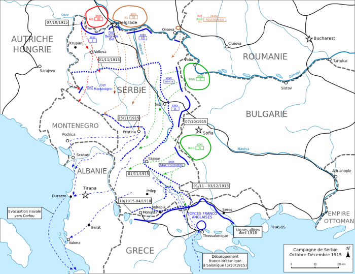 The Salonika front, which came after the failure of Gallipoli, attempted to reinforce the Serbians, to little avail.