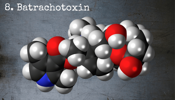 Batrachotoxin exists naturally on the skin of certain poisonous frogs native to South America.