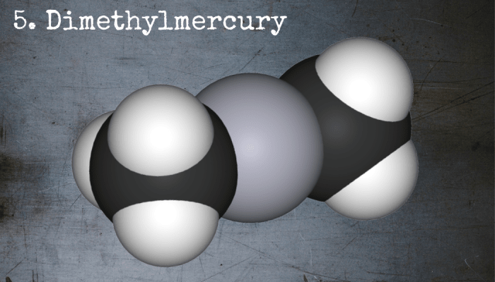 Before the sickness and death of Karen Wetterhahn in 1996, the extent of the danger posed by dimethylmercury was not widely known.