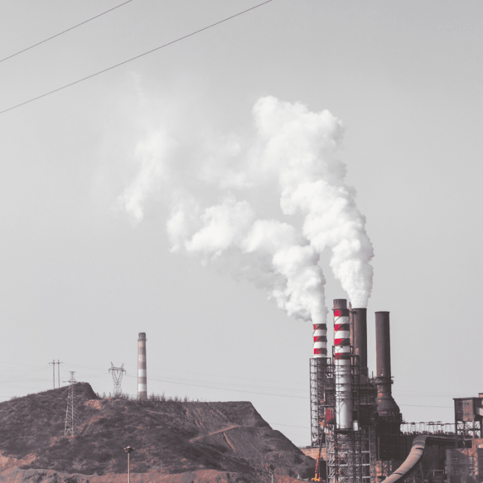 Deforestation and fossil fuel emissions have lowered air quality significantly in certain parts of the world.