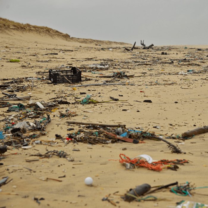 The materials we discard can have a lasting impact on the quality and safety of the surrounding land.