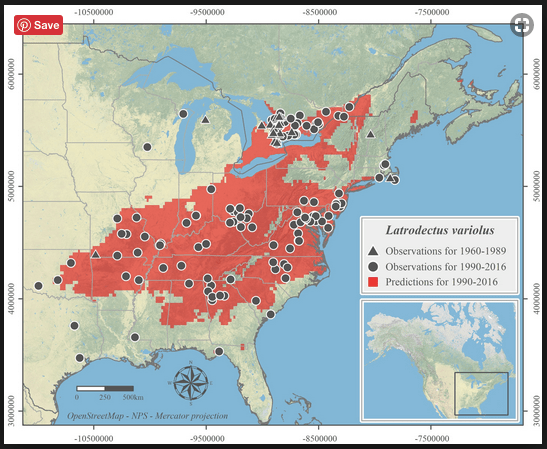 The range of the Northern Black Widow spider.