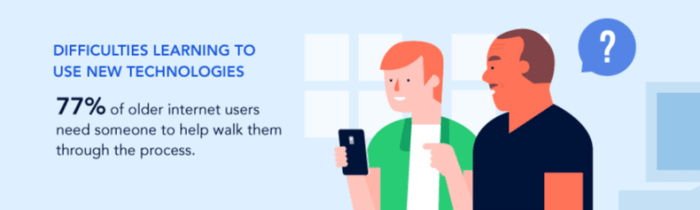 Excerpt from the Elderly and the Word Wide Web infographic