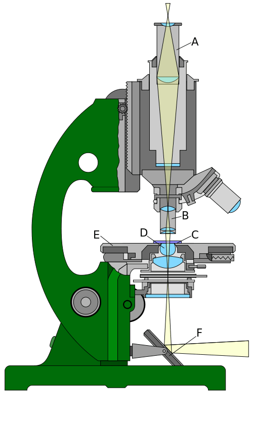 Light path in a light microscope. A - Eyepiece lens; B - Objective lens; C - sample; D - Condenser lenses; E - Stage; F - Mirror