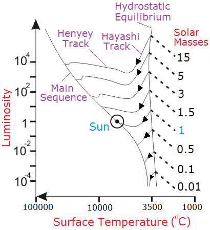 The early evolution of the Sun from protostar to main sequence star. The evolution of heavier and lighter stars are compared.
