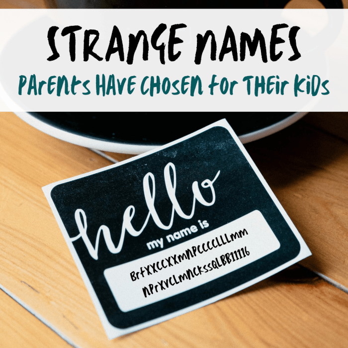 What makes a name strange is arguable, but some names definitely stand out more than others. (Yes, the name above is an actual name that parents tried to give their son.)