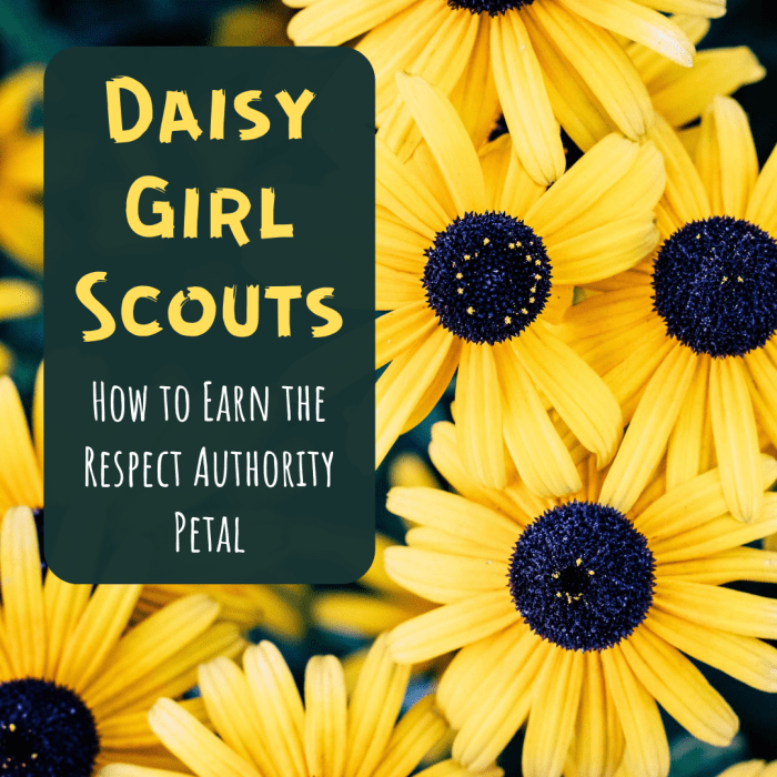 Learn more about Daisy petals, and get ideas for how your troop can earn the magenta petal for respecting authority.