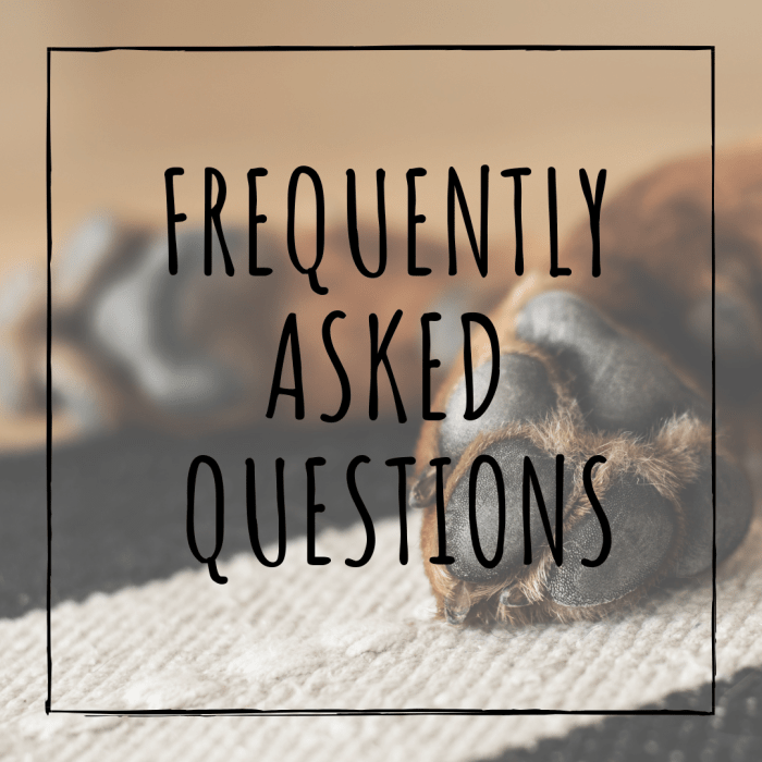 What if you cut the quick? What if your dog is afraid of the trimmers? Frequently asked questions answered.