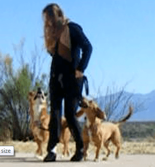 Working your dog in presence of another dog can help him attain better impulse control.