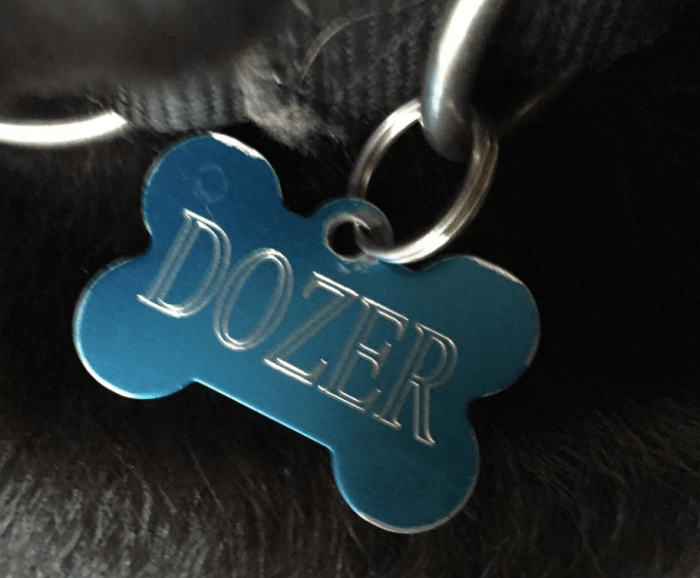 A dog identification tag with the owner name and phone number on the reverse side