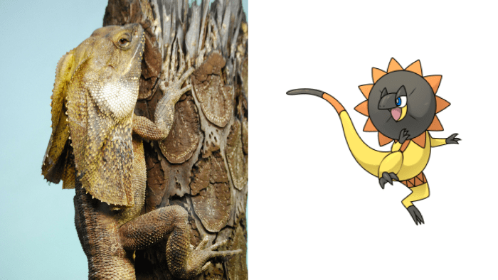 exotic-pets-that-look-like-pokemon