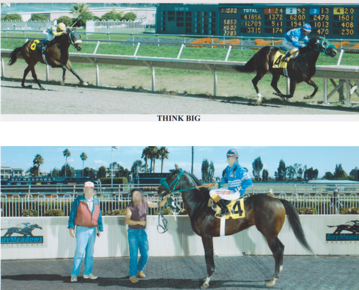 The thoroughbred has been bred to have a heart that is 3 times larger than a normal horse's, and most grow a minimal amount of hair for the winter months.