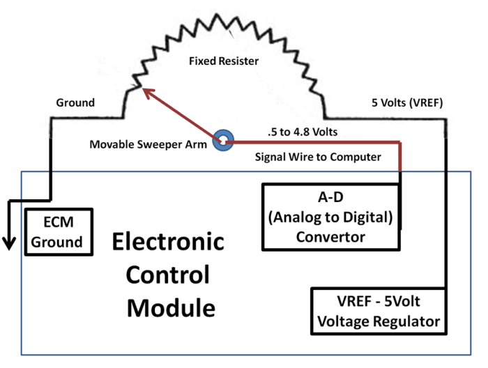 The most common potentiometer is the Throttle Position Sensor located on the throttle body or accelerator pedal.