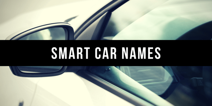 800+ Good Car Names Based on Color, Style, Personality & More - AxleAddict