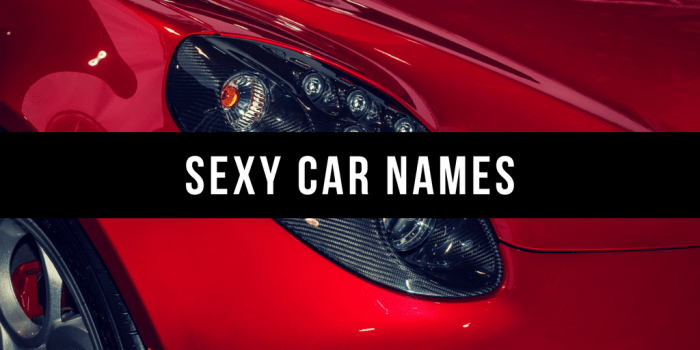 800 Good Car Names Based On Color Style Personality More AxleAddict