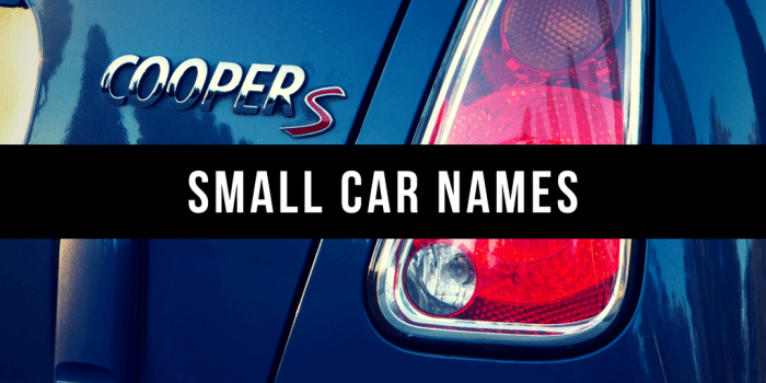 800-good-car-names-based-on-color-style-personality-more-axleaddict