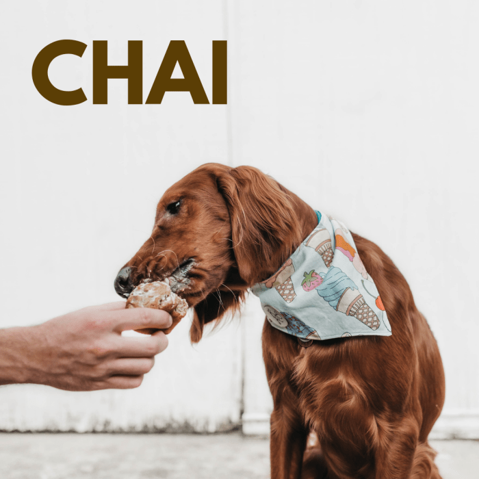 200+ Delicious Food Names for Dogs (and Foodies) PetHelpful By