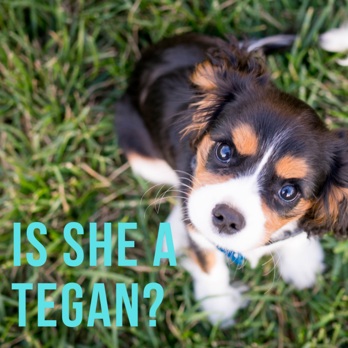 ő egy Tegan