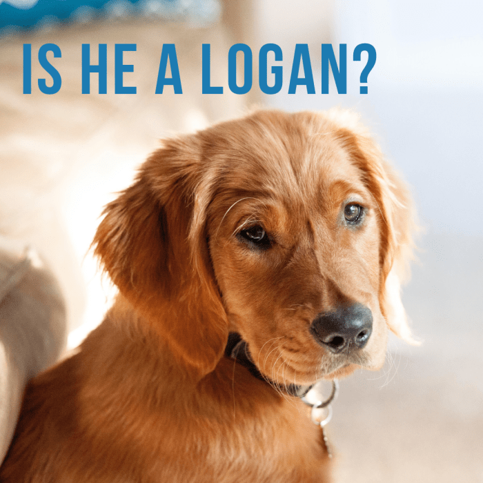 ő egy Logan?